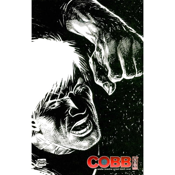Cobb #1A VF ; IDW Comic Book