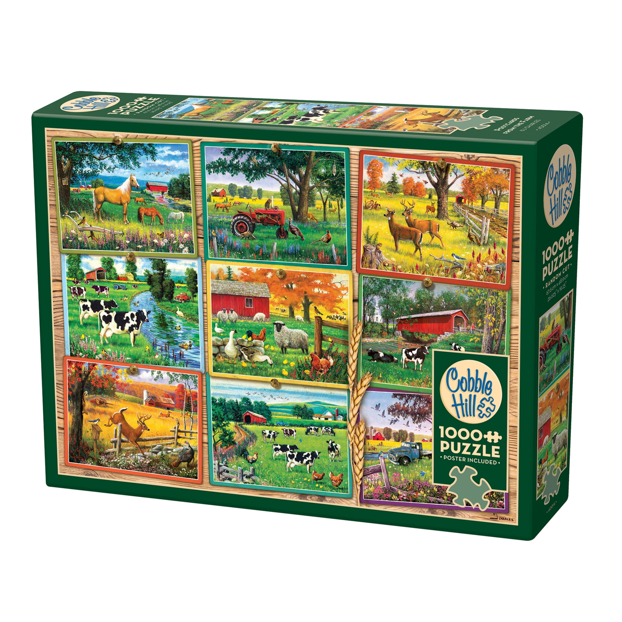 COBBLE HILL puzzle scena da spiaggia, 1000 pezzi