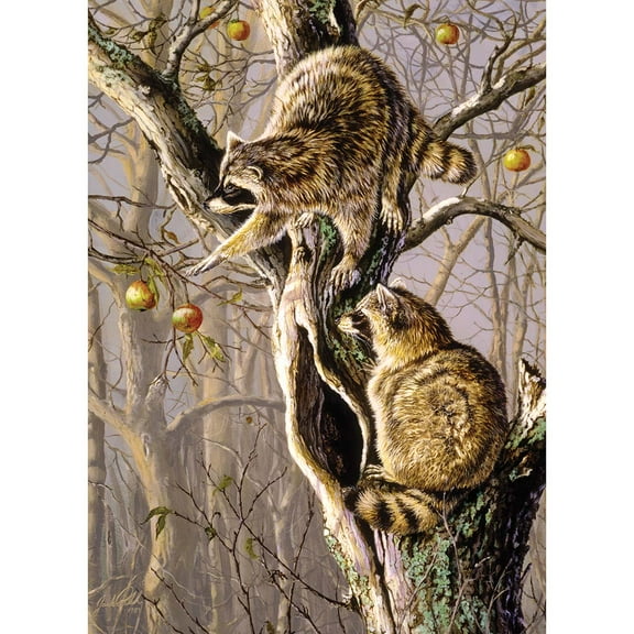 Cobble Hill Ringtail Raiders Jigsaw Puzzle