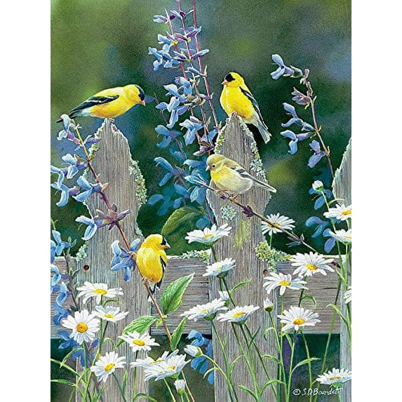 Cobble Hill Goldfinch Quartet By Artist Susan Bourdet 500 Piece Jigsaw Puzzle