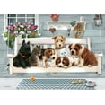 thumbnail image 1 of Cobble Hill Puzzle Company Ltd. Puzzle Porch Pals 350 pc Family, 1 of 3