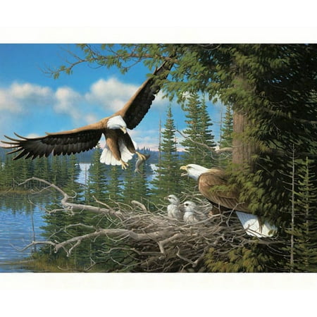 Cobble Hill: Nesting Eagles 1000-Piece Jigsaw Puzzle