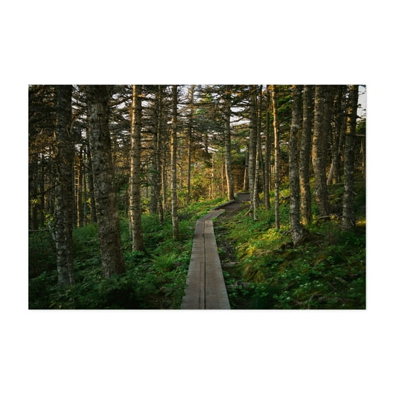 Cobbler Path, Torbay Point 01 - Outer Cove Newfoundland and Labrador Canada Photography Unframed Wall Art Print 5 x 7 inches
