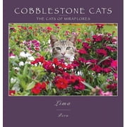 Cobblestone Cats - Lima The Cats of Miraflores Hardcover