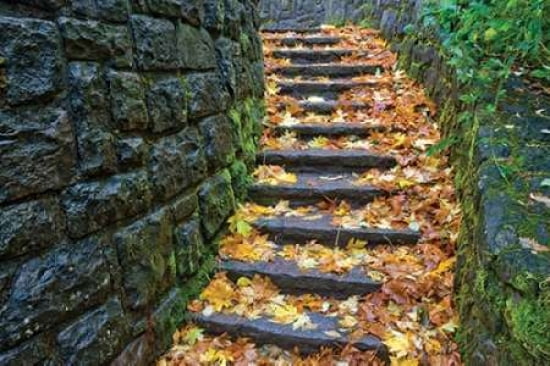 Cobblestone Foliage Canvas Art - Dennis Frates (12 x 18)
