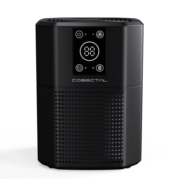 Cobectal ZQA-2000B Air Purifier with HEPA Filter for Mold, Allergies, Smoking, Portable, Covers 600 Sq.ft