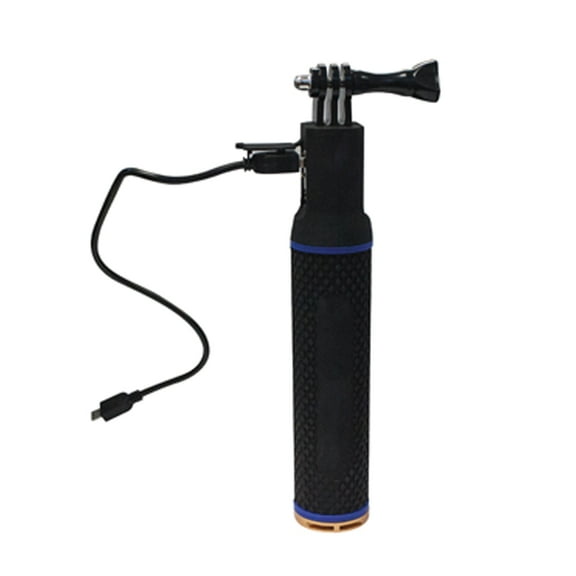 Cobra 9810 Power Stubbie, Wasp Camera