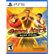 Cobra Kai 2 Dojos Rising, Playstation 5
