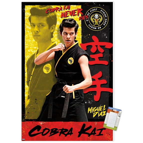 Cobra Kai - Miguel Wall Poster, 14.725" x 22.375"
