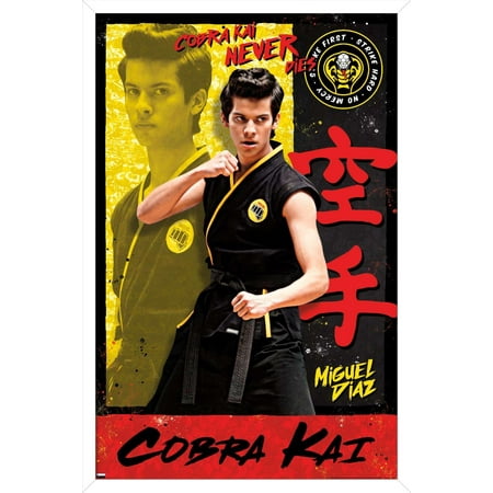 Cobra Kai - Miguel Wall Poster, 22.375" x 34", Framed