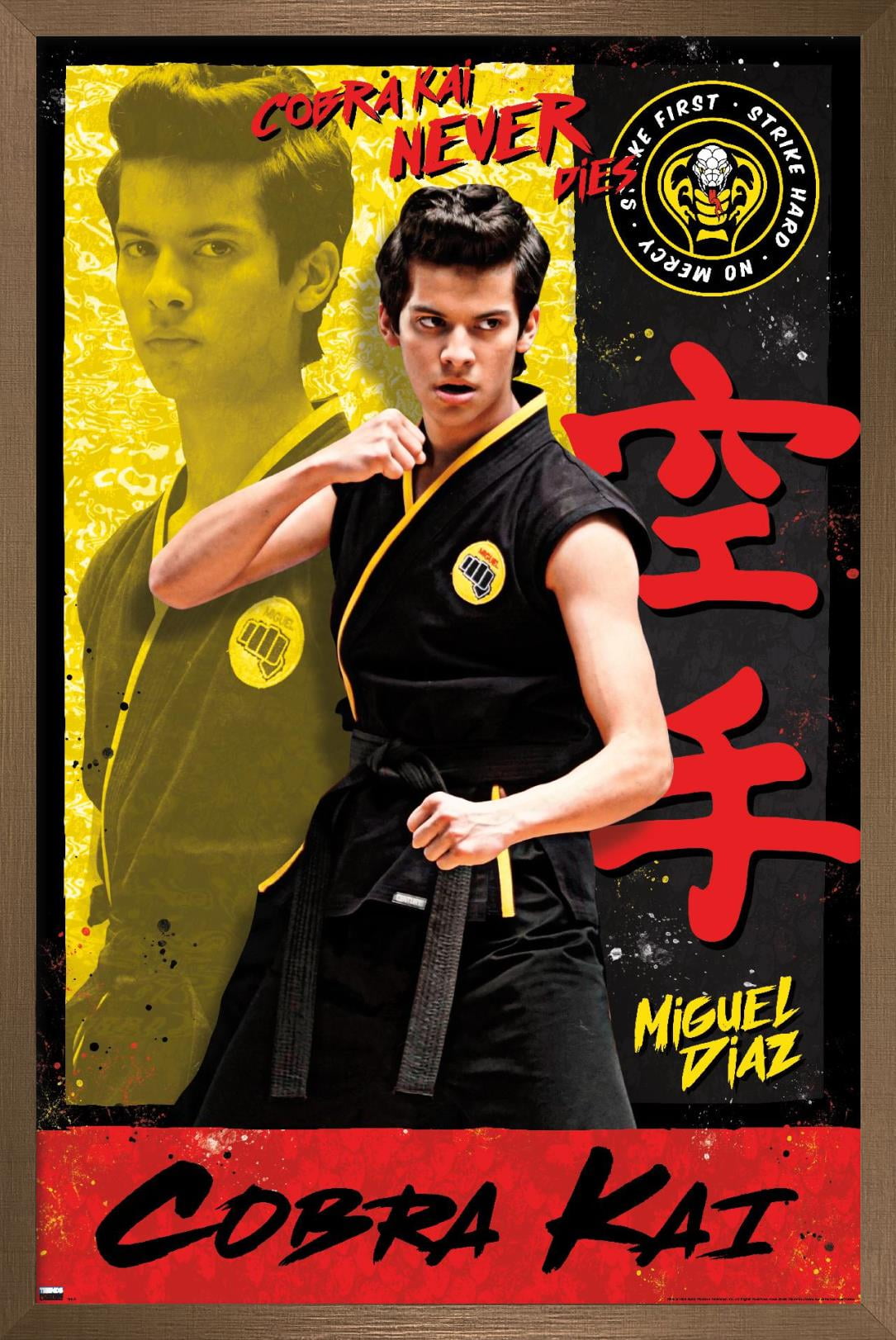 Cobra Kai - Miguel Wall Poster, 22.375 x 34 