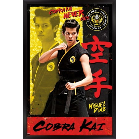 Cobra Kai - Miguel Wall Poster, 22.375" x 34", Framed