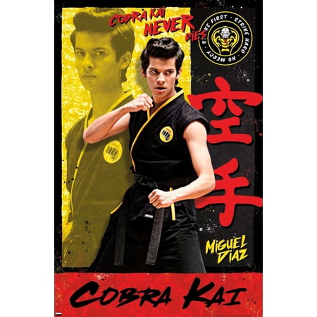 Cobra Kai - Miguel Wall Poster, 22.375" x 34"
