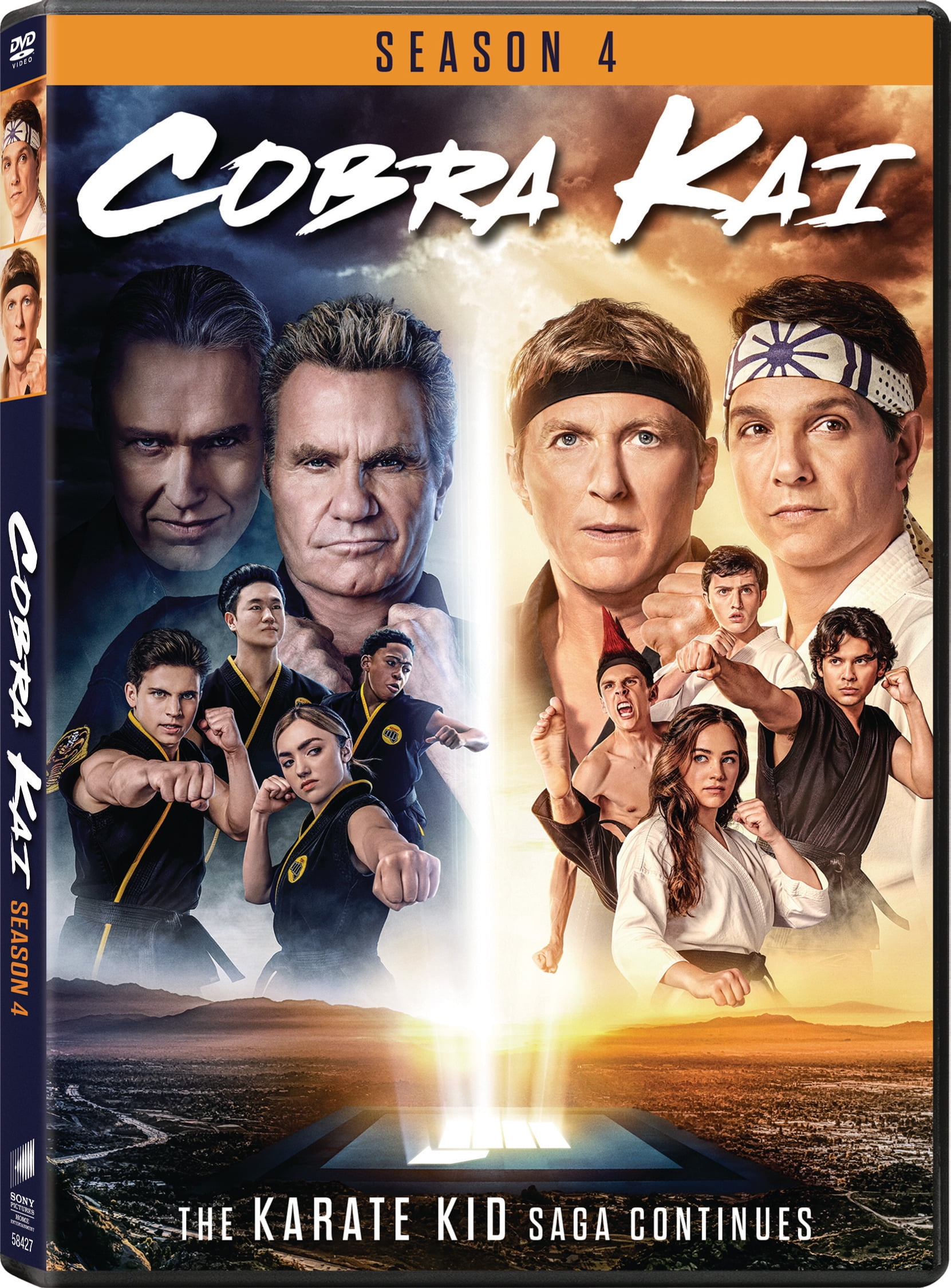 Sony Pictures Cobra Kai - Complete Series Season 4 DVD - Walmart.com
