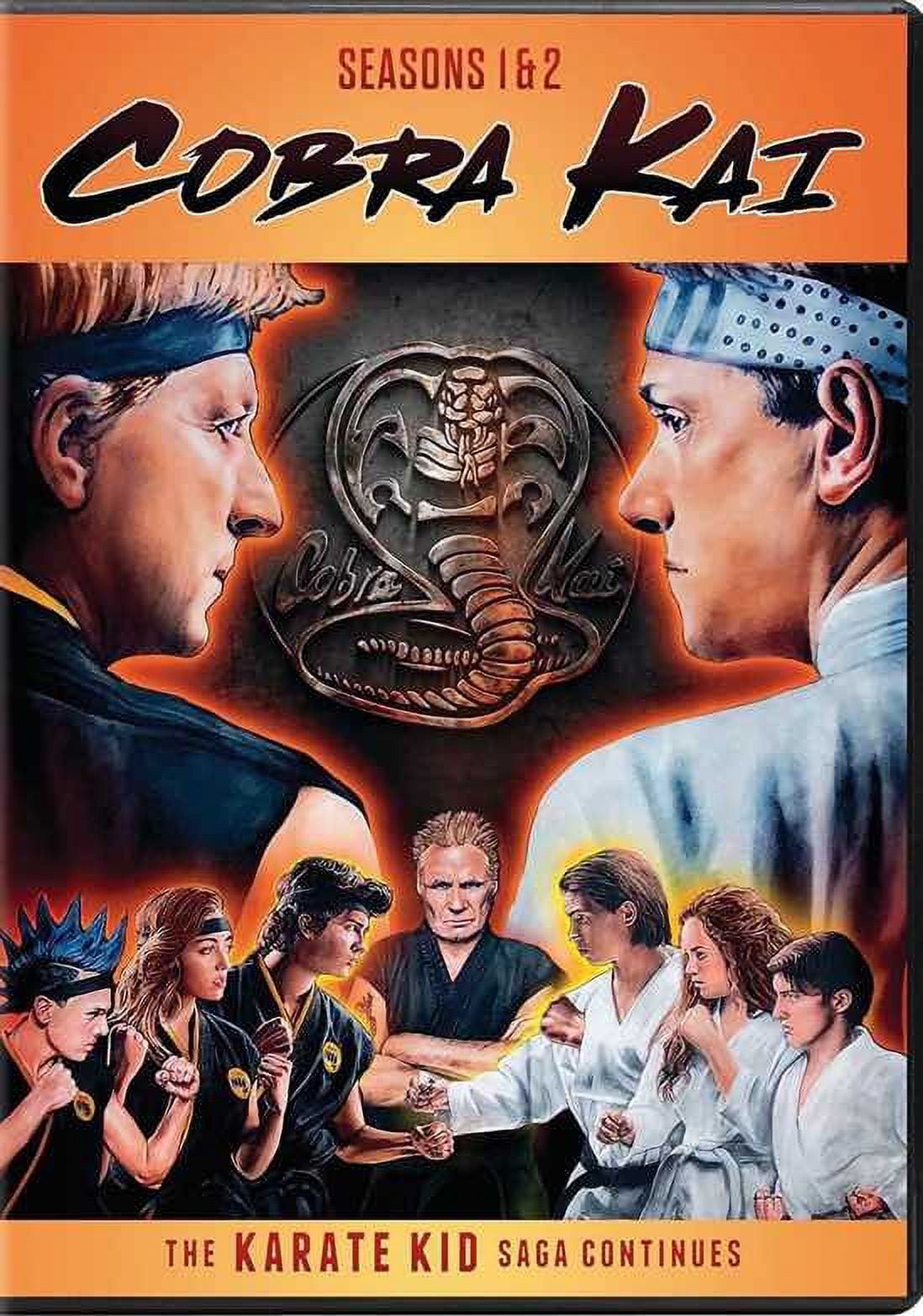 Sony Pictures Cobra Kai Complete Series: Seasons 1 & 2 DVD