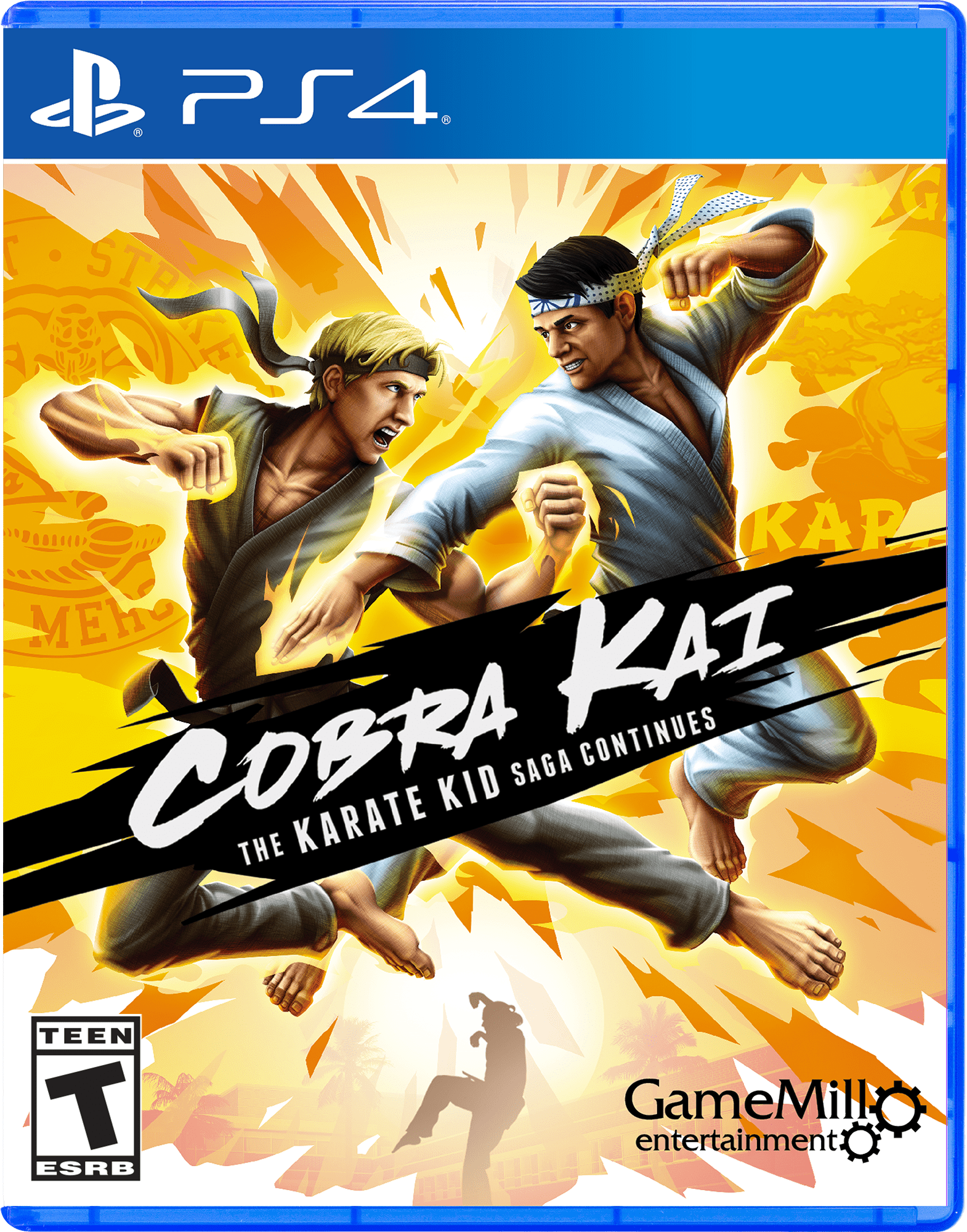  Cobra Kai Karate Kid Saga - Nintendo Switch : Game