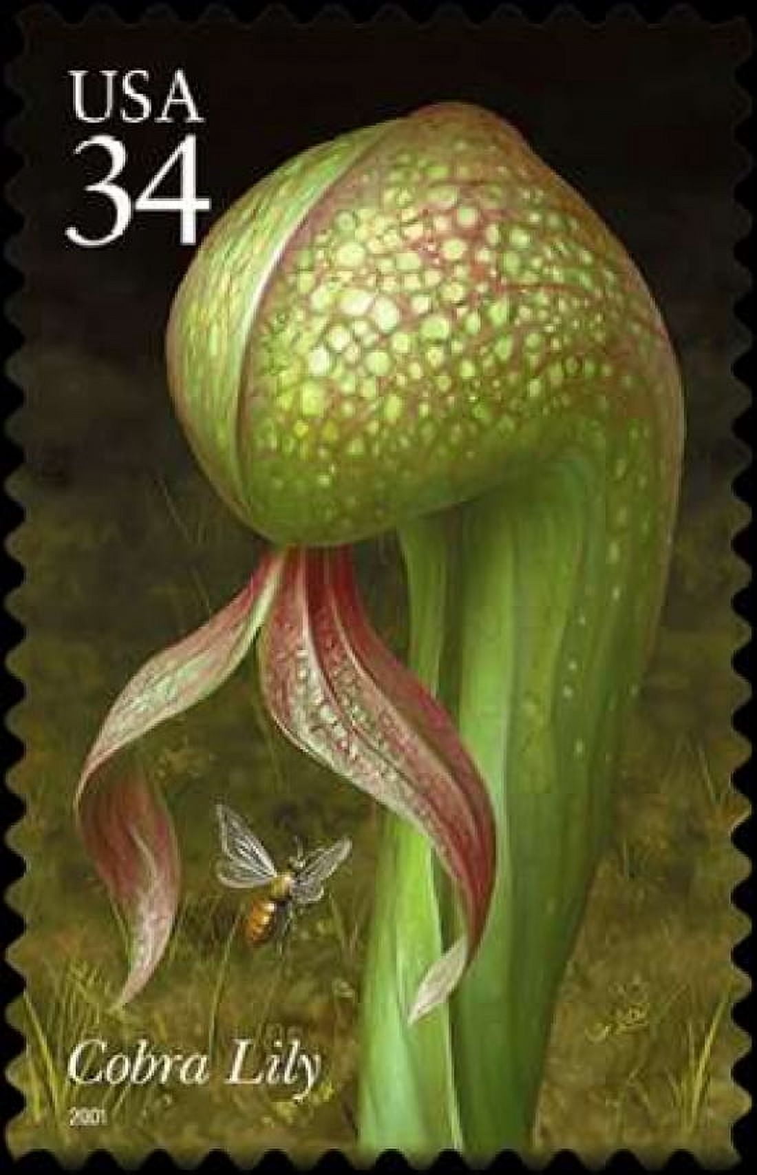 Cobra Lily Canvas Art - US POSTAL SERVICE (12 x 18)