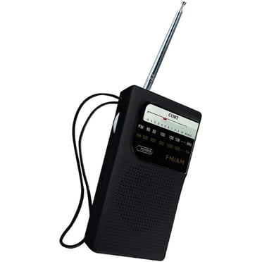Kaito KA200 Battery Operated Small Portable AM/FM Radio with Built-in ...