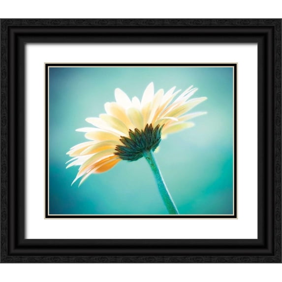 Cochrane, Carolyn 14x12 Black Ornate Wood Framed with Double Matting Museum Art Print Titled - Vanity