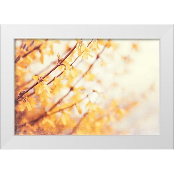 Cochrane, Carolyn 18x13 White Modern Wood Framed Museum Art Print Titled - In the Beginning