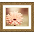 thumbnail image 1 of Cochrane, Carolyn 18x15 Gold Ornate Wood Framed with Double Matting Museum Art Print Titled - Peachy Keen, 1 of 4