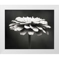 thumbnail image 1 of Cochrane, Carolyn 24x20 White Modern Wood Framed Museum Art Print Titled - Spellbinding, 1 of 4
