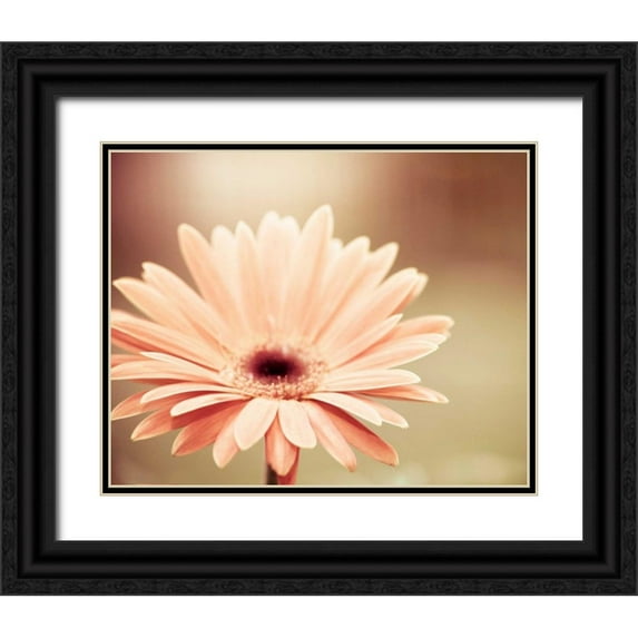 Cochrane, Carolyn 32x26 Black Ornate Wood Framed with Double Matting Museum Art Print Titled - Peachy Keen