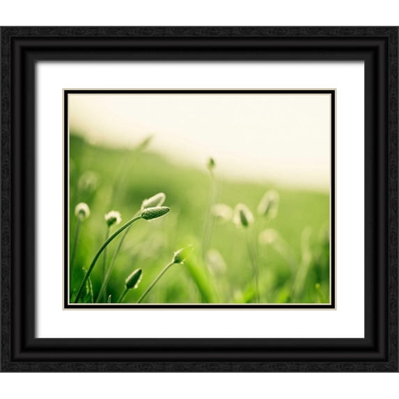 Cochrane, Carolyn 32x26 Black Ornate Wood Framed with Double Matting Museum Art Print Titled - The Dance
