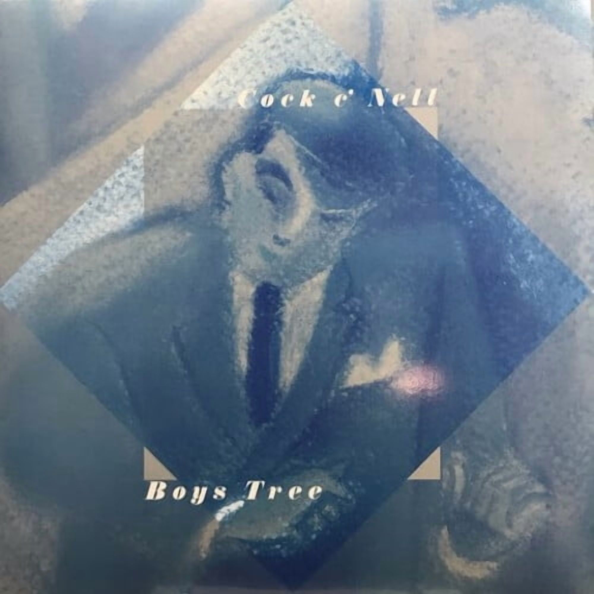 Cock C'nell - Boys Tree - Music & Performance - Vinyl