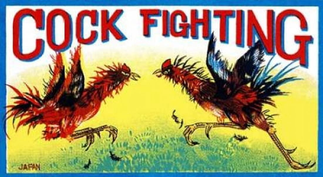 Cock Fighting Canvas Art - Retrobot (24 x 36)