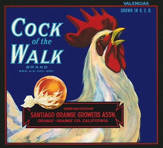 Cock of the Walk label Canvas Art - (18 x 24)