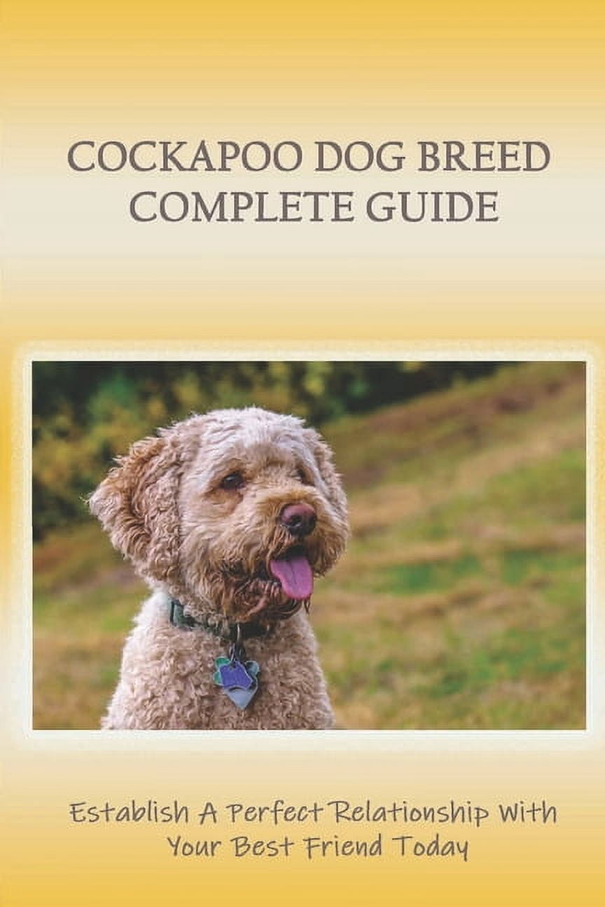 Cockapoo Dog Breed Complete Guide: Establish A Perfect Relationship ...