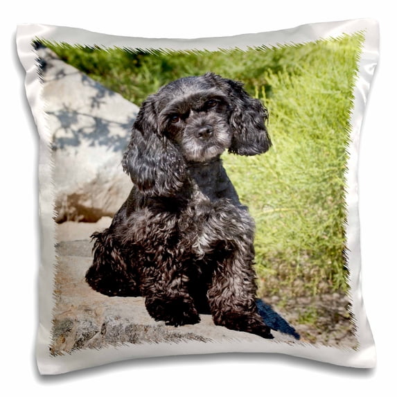 3dRose, Cockapoo dog sitting on some boulders - NA02 ZMU0111 - Zandria Muench Beraldo, 16x16 inch Pillow Case
