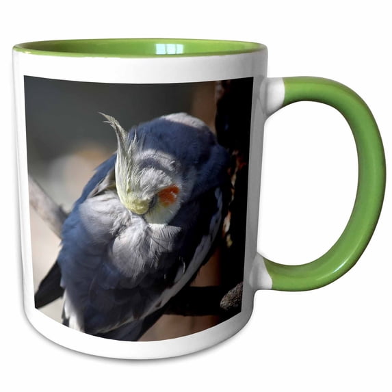 3drose, Cockatiel Sleeping with Head Back, 11oz Two-tone Green Mug