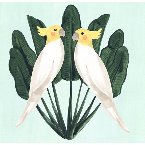 Cockatiels Art Poster Bird Illustration on Matte Paper, Unframed Poster Size 16x24 F03.1.19l1562