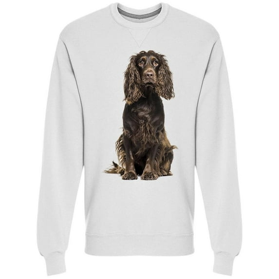 Cocker Sitted In His Back Legs Sweatshirt Men -Image by Shutterstock, Male Large