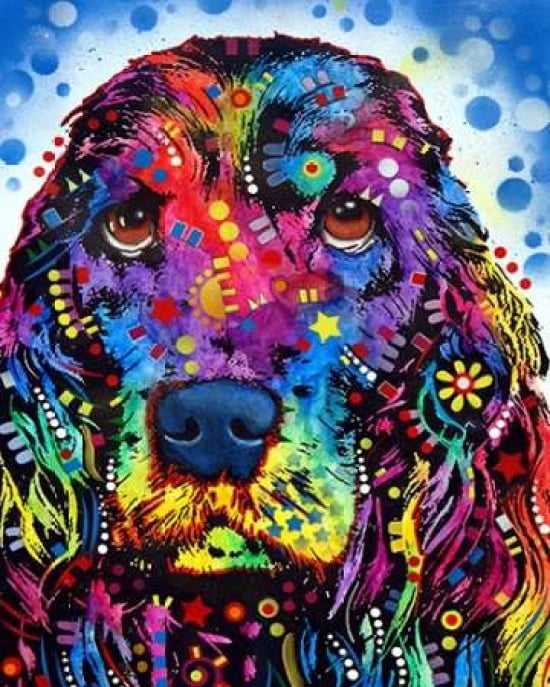 Cocker Spaniel Canvas Art - Dean Russo (18 x 24)