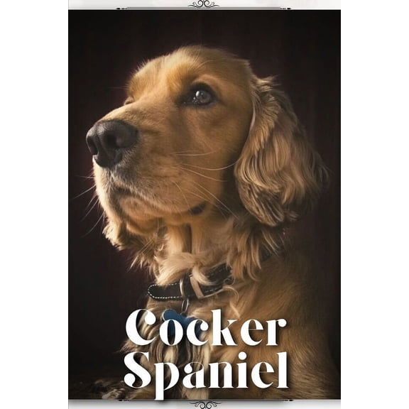 Cocker Spaniel : Dog breed overview and guide (Paperback)