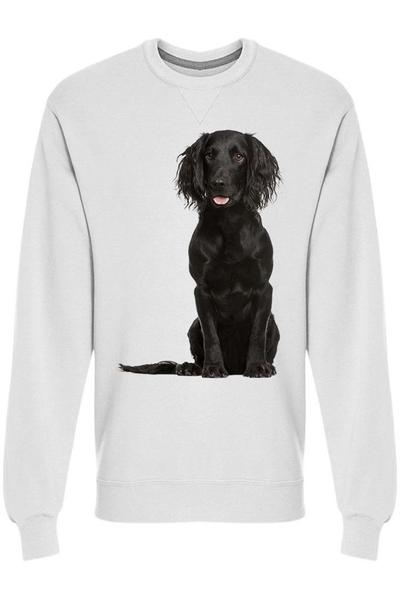 Cocker Spaniel, Posing Sweatshirt Men -Image by Shutterstock, Male 3X-Large
