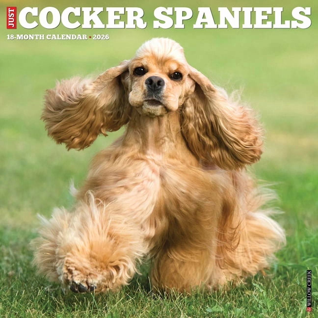 Cocker Spaniels 2026 Wall Calendar, (Paperback)
