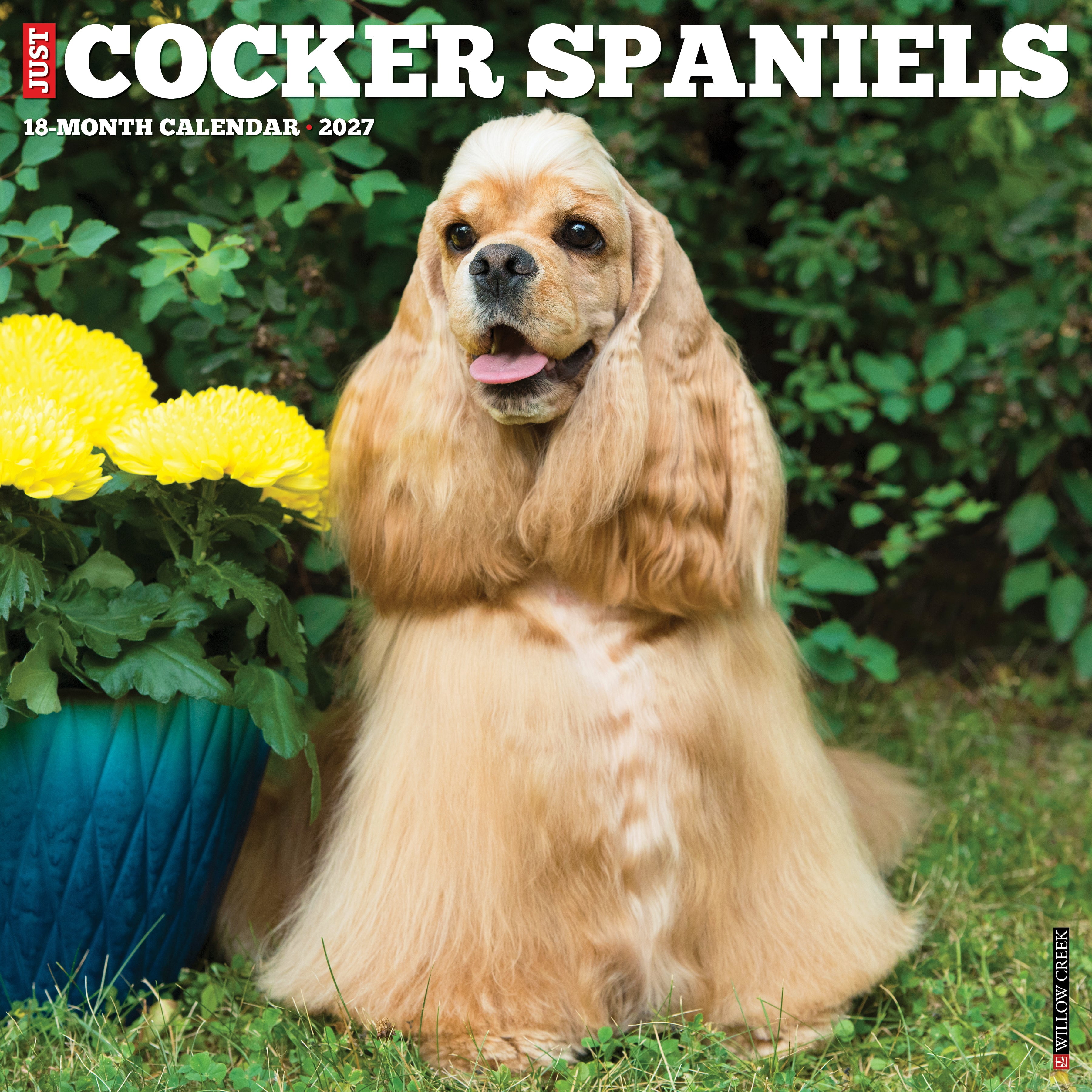 Willow Creek Press, Cocker Spaniels 2027 Wall Calendar