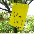 thumbnail image 1 of Cockroach Spider Bed Bug Scorpion Silverfish Insect Traps Roach Sticky Traps Yellow sticky trap, 10"x16", 10pcs, 1 of 4