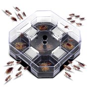 Cockroach Trap Box Reusable Eco-Friendly Roach Catcher Trap for Indoor Kitchen