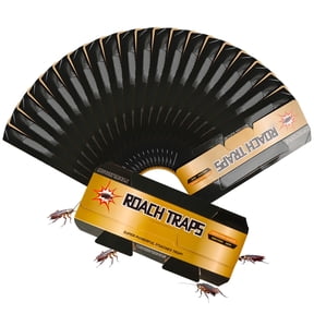 Cockroach Traps Indoor, Sticky Roach Boards for Home, Kitchen, Plants Cockroaches, Silverfish, Firebrats Catcher Safe for Families, Pet Owners, Garden Pest Control - 10PCS