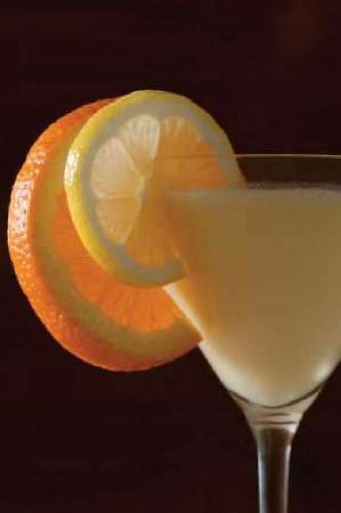 Cocktail Hour III Canvas Art - Erin Berzel (24 x 36)