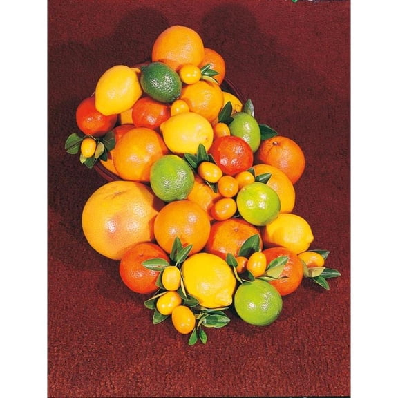 Cocktail TreeAssorted Citrus VarietiesVersatile Fruit Producer 1 Gallon