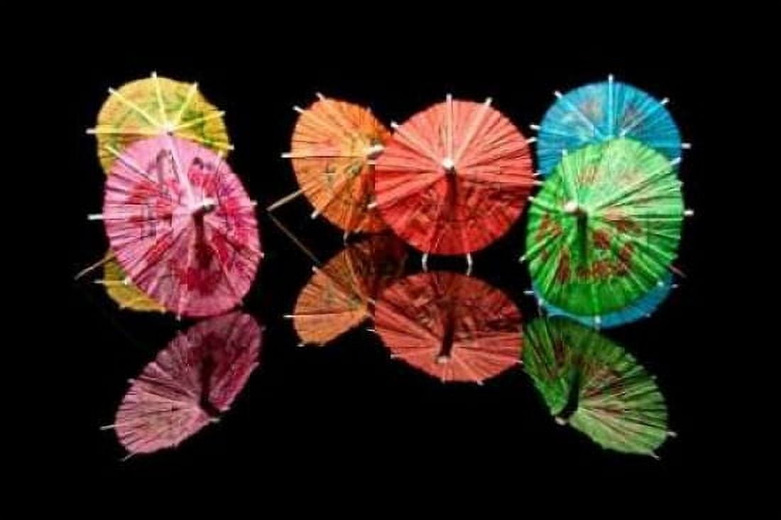 Cocktail Umbrellas I Canvas Art - C Thomas McNemar (24 x 36)