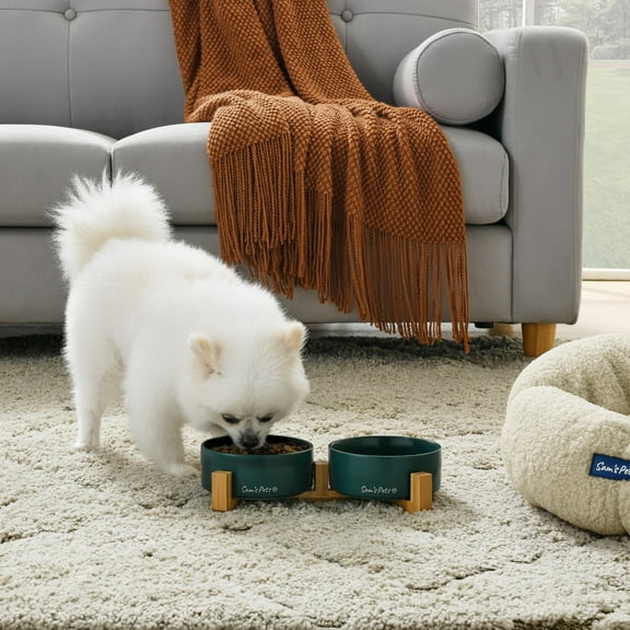 Coco Dual Pet Bowl with Wood Stand 5.11 in Green