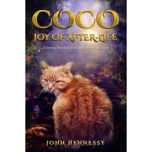 Coco: Joy of After-Life (A Journey Beyond Death and into the Heavens) (Paperback)