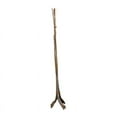 thumbnail image 1 of Coco Mittai Fronds, 1 of 2